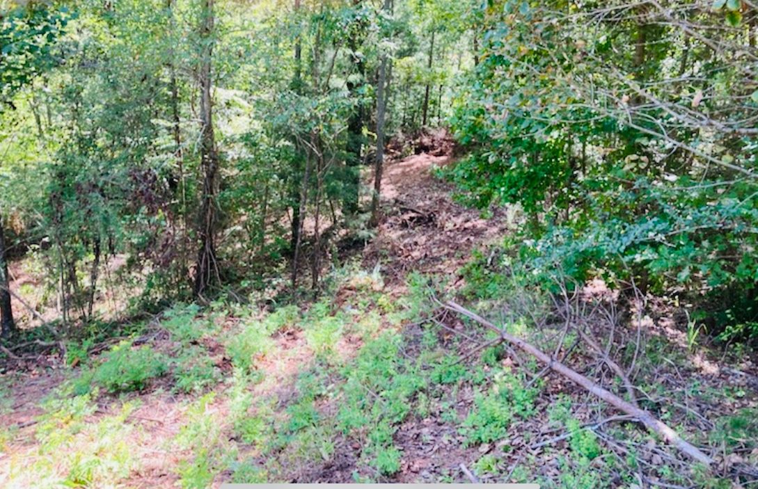 Lot 33 Woodgate Shores Dr: Lot 33 Woodgate Shores Dr, Wedowee, AL 36278